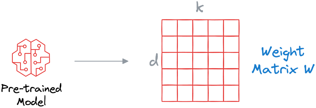 Layer weight matrix W (d × k) before adaptation.