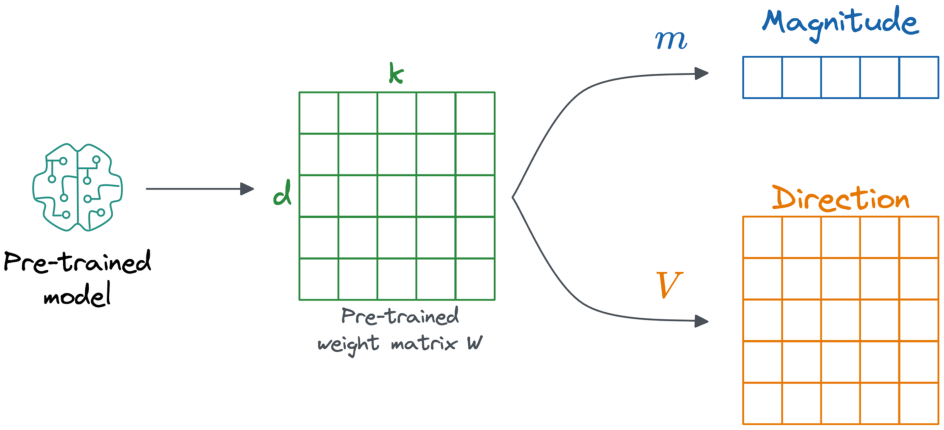 DoRA separates magnitude and direction of weights.