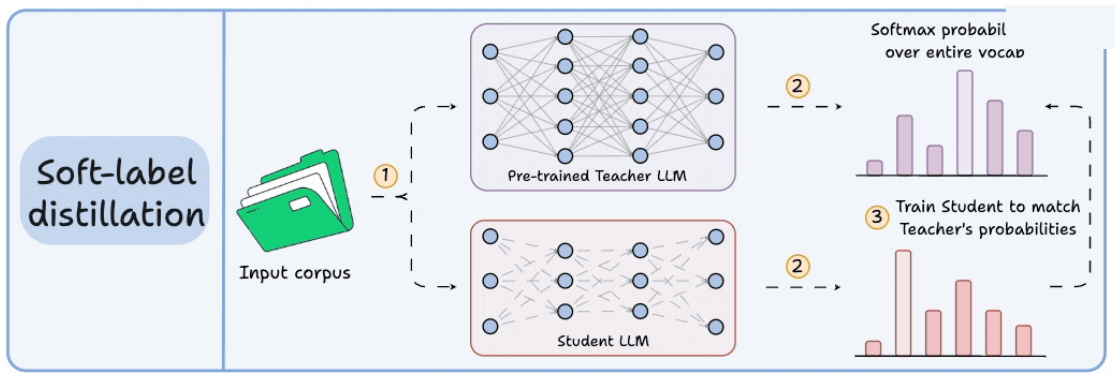 A large teacher model supervises a smaller student during training.
