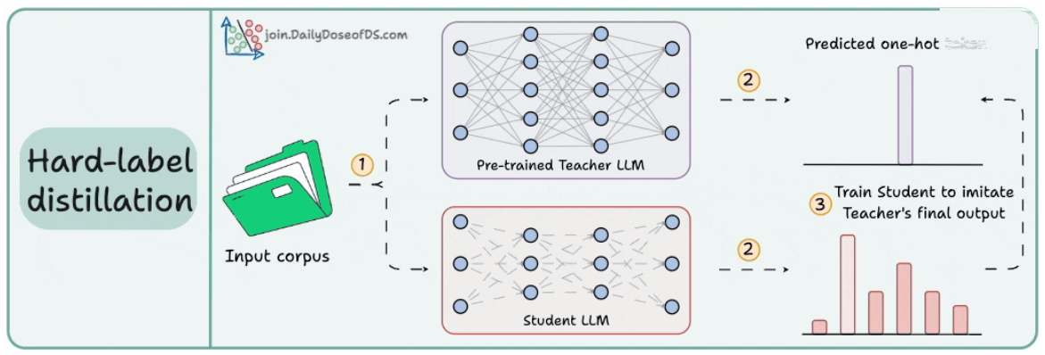 Soft labels carry the full distribution; hard labels keep only the teacher’s top token.