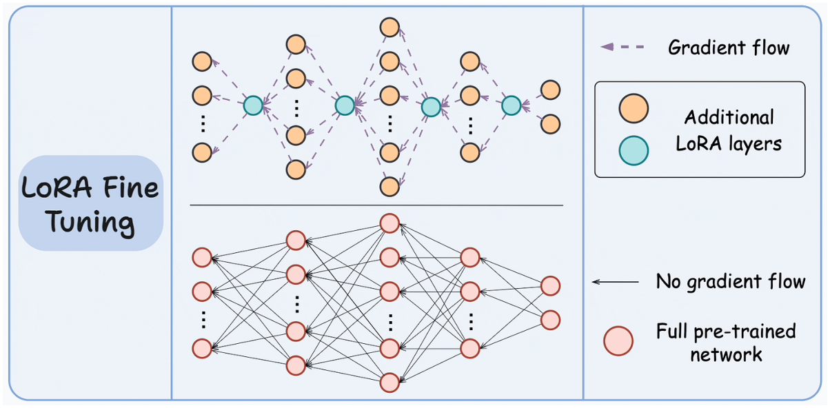 LoRA adds trainable low-rank matrices while keeping the backbone frozen.