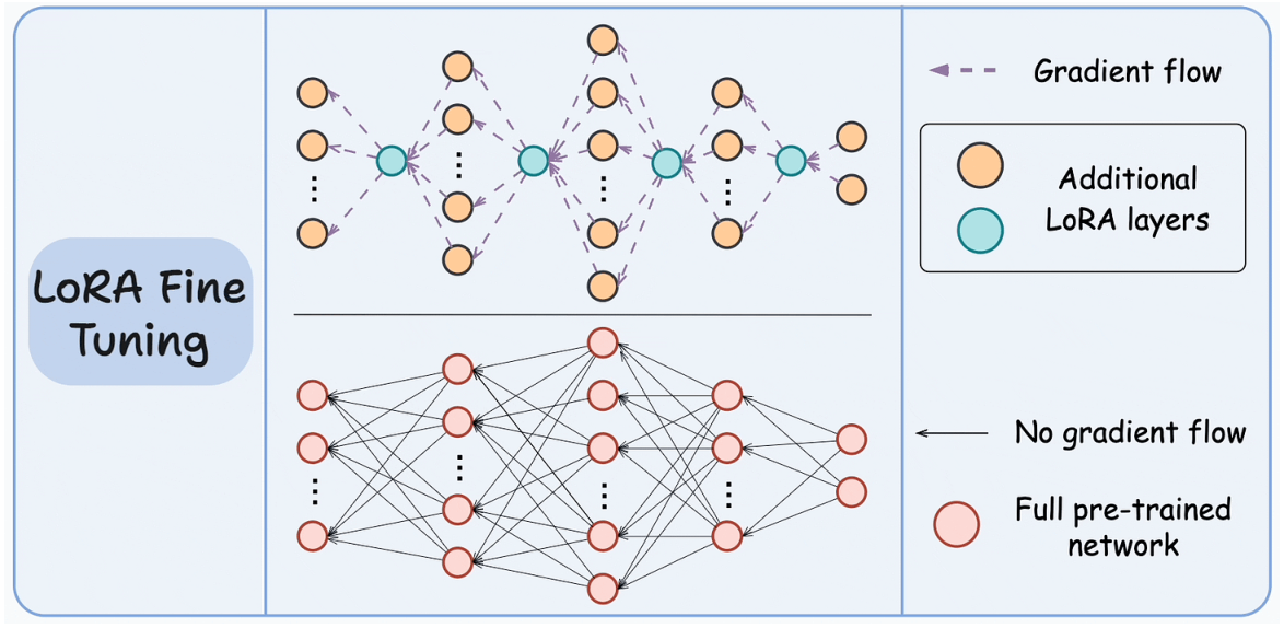 RAG augments at inference by pulling external passages into the prompt.